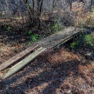 Photo #47 of 6424 FREE UNION RD, FREE UNION, VA 34.7 acres