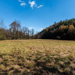 Photo #20 of 6424 FREE UNION RD, FREE UNION, VA 34.7 acres