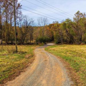 Photo #9 of 6424 FREE UNION RD, FREE UNION, VA 34.7 acres