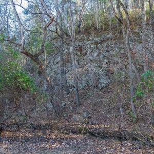 Photo #51 of 6424 FREE UNION RD, FREE UNION, VA 34.7 acres