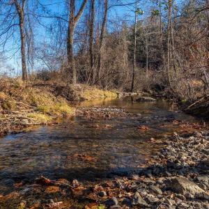 Photo #18 of 6424 FREE UNION RD, FREE UNION, VA 34.7 acres