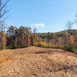 Photo #29 of 6424 FREE UNION RD, FREE UNION, VA 34.7 acres
