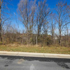 Photo #20 of 2122 WILLOW HILL DR, HARRISONBURG, VA 0.3 acres
