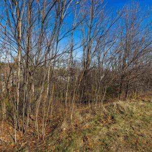 Photo #15 of 2132 WILLOW HILL DR, HARRISONBURG, VA 0.3 acres