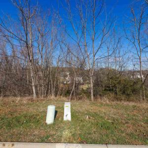 Photo #17 of 2132 WILLOW HILL DR, HARRISONBURG, VA 0.3 acres