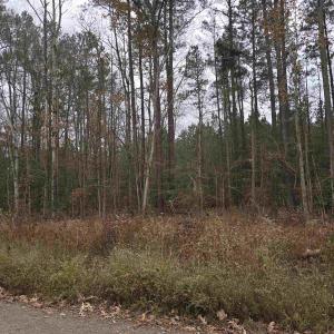 Photo #2 of 17 EVERGREEN DR, COLONIAL BEACH, VA 0.2 acres