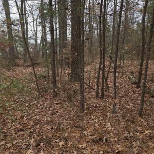 Photo #1 of 17 EVERGREEN DR, COLONIAL BEACH, VA 0.2 acres
