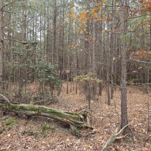 Photo #1 of 18 EVERGREEN DR, COLONIAL BEACH, VA 0.2 acres