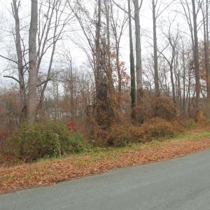 Photo #4 of TBD8 WOODHAVEN DR, CHARLOTTESVILLE, VA 0.5 acres