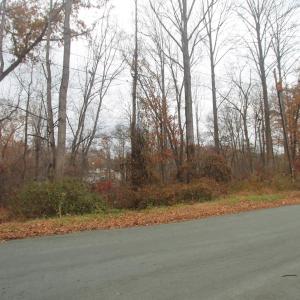 Photo #1 of TBD9 WOODHAVEN CT, CHARLOTTESVILLE, VA 0.7 acres