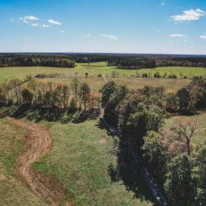 Photo #26 of Lot 14 BRIERY CREEK RD, SCOTTSVILLE, VA 24.0 acres