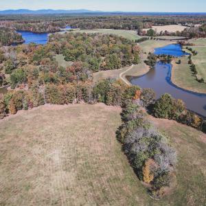 Photo #7 of Lot 14 BRIERY CREEK RD, SCOTTSVILLE, VA 24.0 acres
