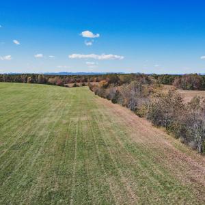 Photo #30 of Lot 14 BRIERY CREEK RD, SCOTTSVILLE, VA 24.0 acres