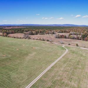 Photo #19 of Lot 14 BRIERY CREEK RD, SCOTTSVILLE, VA 24.0 acres