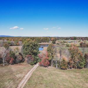 Photo #9 of Lot 14 BRIERY CREEK RD, SCOTTSVILLE, VA 24.0 acres