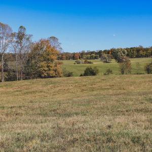 Photo #42 of Lot 14 BRIERY CREEK RD, SCOTTSVILLE, VA 24.0 acres