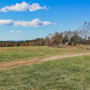 Photo #32 of Lot 14 BRIERY CREEK RD, SCOTTSVILLE, VA 24.0 acres