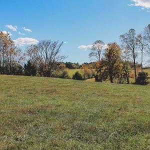 Photo #36 of Lot 14 BRIERY CREEK RD, SCOTTSVILLE, VA 24.0 acres