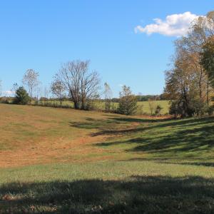 Photo #38 of Lot 14 BRIERY CREEK RD, SCOTTSVILLE, VA 24.0 acres