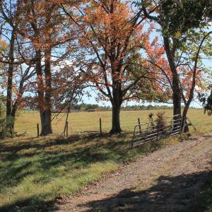 Photo #39 of Lot 14 BRIERY CREEK RD, SCOTTSVILLE, VA 24.0 acres