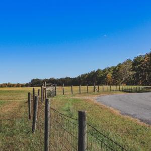 Photo #46 of Lot 14 BRIERY CREEK RD, SCOTTSVILLE, VA 24.0 acres