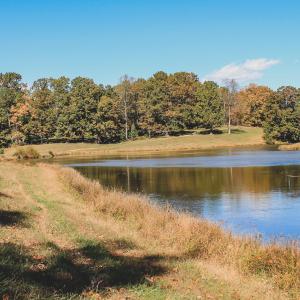 Photo #13 of Lot 14 BRIERY CREEK RD, SCOTTSVILLE, VA 24.0 acres