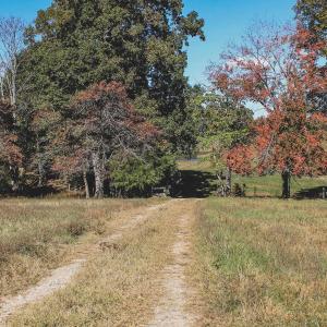 Photo #11 of Lot 14 BRIERY CREEK RD, SCOTTSVILLE, VA 24.0 acres