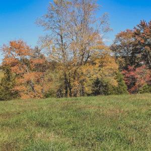 Photo #35 of Lot 14 BRIERY CREEK RD, SCOTTSVILLE, VA 24.0 acres