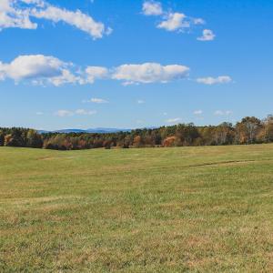 Photo #45 of Lot 14 BRIERY CREEK RD, SCOTTSVILLE, VA 24.0 acres