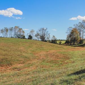 Photo #37 of Lot 14 BRIERY CREEK RD, SCOTTSVILLE, VA 24.0 acres