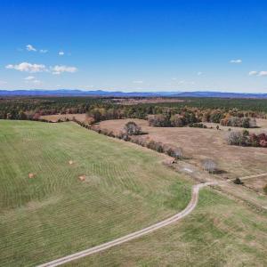 Photo #20 of Lot 14 BRIERY CREEK RD, SCOTTSVILLE, VA 24.0 acres