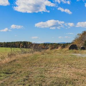 Photo #44 of Lot 14 BRIERY CREEK RD, SCOTTSVILLE, VA 24.0 acres