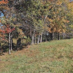 Photo #41 of Lot 14 BRIERY CREEK RD, SCOTTSVILLE, VA 24.0 acres
