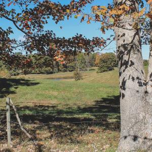 Photo #40 of Lot 14 BRIERY CREEK RD, SCOTTSVILLE, VA 24.0 acres