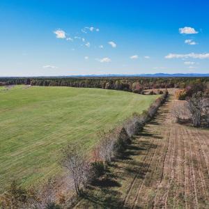 Photo #16 of Lot 14 BRIERY CREEK RD, SCOTTSVILLE, VA 24.0 acres