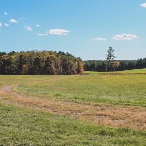 Photo #33 of Lot 14 BRIERY CREEK RD, SCOTTSVILLE, VA 24.0 acres