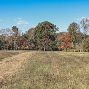Photo #10 of Lot 14 BRIERY CREEK RD, SCOTTSVILLE, VA 24.0 acres