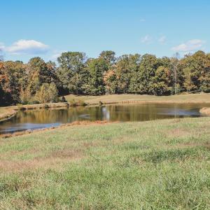 Photo #14 of Lot 14 BRIERY CREEK RD, SCOTTSVILLE, VA 24.0 acres