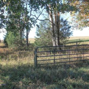 Photo #15 of Lot 14 BRIERY CREEK RD, SCOTTSVILLE, VA 24.0 acres