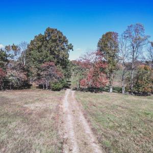 Photo #8 of Lot 14 BRIERY CREEK RD, SCOTTSVILLE, VA 24.0 acres