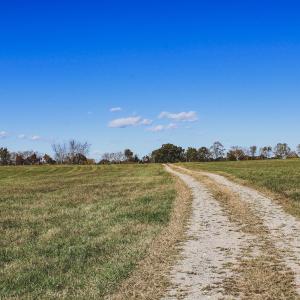 Photo #31 of Lot 14 BRIERY CREEK RD, SCOTTSVILLE, VA 24.0 acres