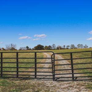 Photo #47 of Lot 14 BRIERY CREEK RD, SCOTTSVILLE, VA 24.0 acres