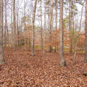 Photo #15 of Lot 34 KESWICK LN, KESWICK, VA 2.5 acres