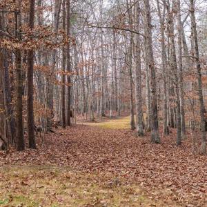 Photo #13 of Lot 34 KESWICK LN, KESWICK, VA 2.5 acres