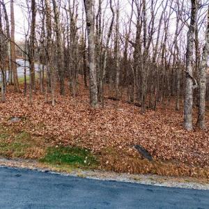 Photo #7 of 23 NORTH ROCK TREE LN, WINTERGREEN RESORT, VA 0.6 acres
