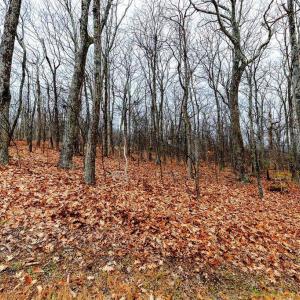 Photo #4 of 23 NORTH ROCK TREE LN, WINTERGREEN RESORT, VA 0.6 acres