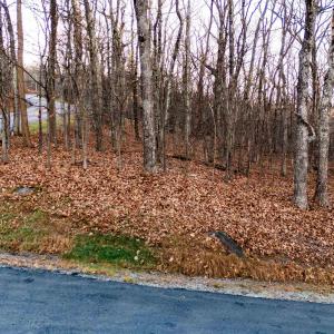 Photo #1 of 23 NORTH ROCK TREE LN, WINTERGREEN RESORT, VA 0.6 acres