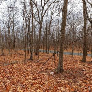 Photo #11 of 23 NORTH ROCK TREE LN, WINTERGREEN RESORT, VA 0.6 acres