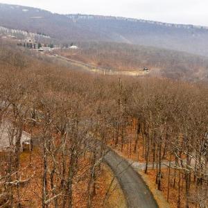 Photo #9 of 23 NORTH ROCK TREE LN, WINTERGREEN RESORT, VA 0.6 acres