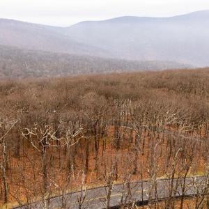 Photo #5 of 23 NORTH ROCK TREE LN, WINTERGREEN RESORT, VA 0.6 acres